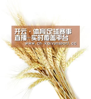 开云·体育|足球赛事直播-实时覆盖平台